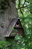 Wooden A-frame barn owl box on mature tree at the garden boundary - Sallowfield Cottage B&B, Norfolk