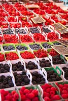 Blueberries, redcurrants and blackberries displayed in cardboard punnets on french market stall.
