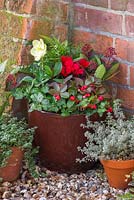 Step by step - creating decorative winter container - finished container in garden 