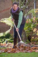 Step by step raking and collecting autumn leaves