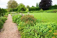 Border alongside lawn includes Euphorbia griffithii, Alchemilla mollis, sedums and thalictrum
