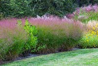 Panicum virgatum 'Heavy Metal' in mixed border