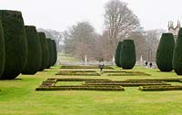 Lanhydrock Garden, Nr Bodmin. Cornwall. March. National Trust. Historic Garden Grade II*. Topiary Yew Cones. 