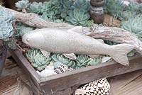 Echevaria elegans planted in wooden crates with fish ornament