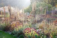 Sedum 'Herbstfreude', Aster sedifolius, Festuca mairei, Phlomis, Verbascum densiflorum and Salvia