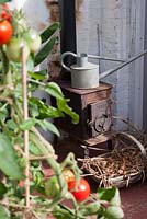 Original vintage greenhouse wooden burner in situ