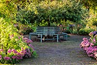 Blue circular tree seat with Sedum spectabile 