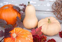 Collection of squashes in decorative autumn arrangement