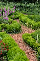 Brick chippings pathway edged with low hedge Buxus, Salvia microphylla, Digitalis purpurea and Apple treesJardins du Chateau de la Roche Jagu, France