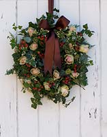 Christmas wreath hanging on white painted wooden door. Including Rosa 'La Belle', Hypericum 'Coco Rio', Ivy and variegated Euonymus. 