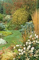 Autumn scene with mixed border of Calamagrostis x acutiflora 'Karl Foerster', Anemone x hybrida 'Honorine Jobert', Euphorbia characias and Malus 'Red Sentinel'.