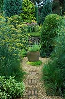 Wildlife conservation garden with gravel and brick path between borders of Foeniculum and Salvia
