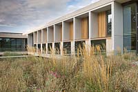 Award winning building. Border of Lychnis and Calamagrostis grass
