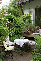 Patio with wooden furniture with linen cushions and tablecloth. Spheres made of tendrils and plants Rosa 'Constance Spry', Dryopteris and Rosmarinus officinalis 