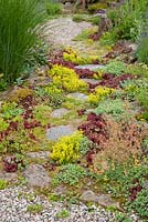 Gravel garden with granite stepping stonesPlant inclde Miscanthus sinensis, Sedum acre and Sempervivum