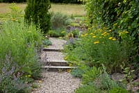 Steps made from wooden blocks and gravel landings leads towards an upper level of the garden. Plants are Buxus, Lavandula, Thymus and Vitis 