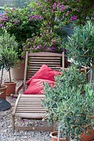 Gravel area with wooden deckchair. Mediterranean plants in pots and a table with coffee cup. Bouganvillea and Olea europaea
