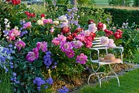 White painted garden chair with straw hat next to peony borders. Plants include Campanula persicifolia var. grandiflora and Paeonia 
