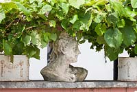 Stone bust with vine