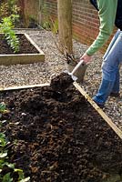 Step by step for planting bare root currant bushes - digging holes in raised bed 