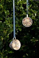 Step by step for creating hanging bird feeders out of teacups 