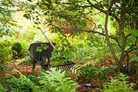 Wheelbarrow, rake and fallen leaves in the woodland area at Glebe Cottage