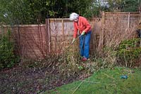 Autumn or Winter job - Clear border of dead and overgrown growth