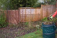 Autumn or Winter job - Clear border of dead and overgrown growth