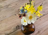 January garden flowers - Witch hazel, primrose, jasmine, muscari in vase 