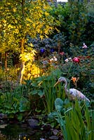 Mixed border around pond at dusk