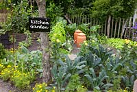 Kitchen Garden with Tagetes, Brassica oleracea 'Nero di Toscana', Beta vulgaris 'Bright Lights, Rheum rhabarbarum, Lactuca sativa 'Blonde Hilde'