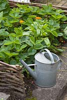 Kitchen garden with watering can