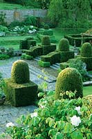 Clipped mounds of Yew.  - Mapperton Garden, Beaminster, Dorset, UK. May. 