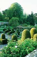 View across Fountain Court with pergola. Clipped Yew mounds.  - Mapperton Garden, Beaminster, Dorset, UK. May. 