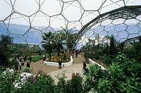 The Eden Project, St Austell, Cornwall, UK. April. Inside the Warm Temperate Biome. 
