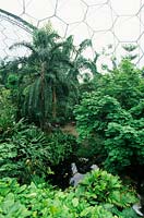 The Humid Biome - The Eden Project, St Austell, Cornwall, UK