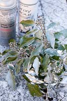 White and silver spray with sprayed Hedera leaves