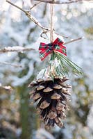 Snowy cone decorated with ribbon displayed hanging on branch