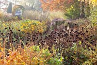 Echinacea purpurea, Rudbeckia, Panicum virgatum, Aster and Lysimachia clethroides