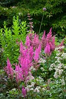 Astilbe 'Fanal' and Astrantia major at Glebe Cottage