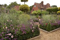 Box edged beds with Miscanthus sinensis, Verbena bonariensis, Verbena rigida, Dahlias and Ilex 'Golden King' topiary. Datura in background - East Ruston Old Vicarage  