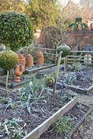 Brassica oleracea, Laurus nobilis, Buxus topiary and Allium porrum - Dial Park