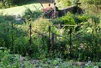 Walled kitchen garden in summer, agriframes screens in the garden - Cerney Gardens, Gloucestershire