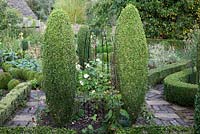 Agriframes plant support in parterre garden with topiary