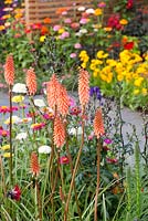 Astellas Pharma - RHS Hampton Court Flower Show