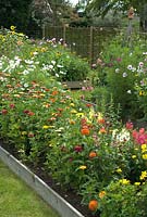 Raised beds of flowers for cutting alongside raised bed of Asparagus and Swiss Chard - Bays Farm NGS, Forward Green, Suffolk