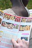 Male gardener selecting potato varieties in a seed catalogue