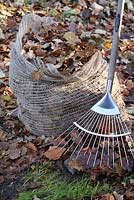 A garden rake and a biodegradable leaf jute sack, filled with raked leaves