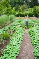 Irises, box balls and Verbena bonariensis in beds edged with Alchemilla mollis in the Dovecote garden, sculpture of dog forming focal point at far end - Rhodds Farm, Kington, Herefordshire, UK