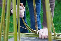 Weaver Dominic Parrette twisting the pliable willow between the uprights - Sussex Willow 
